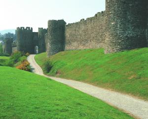 Conwy Castle image 3